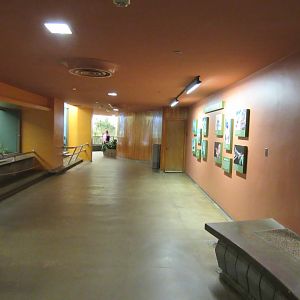 Old Bird House- Generic Hallway View