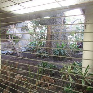 Old Bird House- View Into Great Flight Room