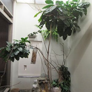 Old Bird House- Aviary 14