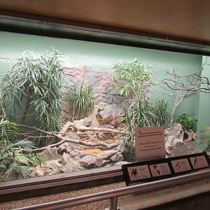 Old Bird House- Aviary 15