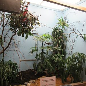 Old Bird House- Aviary 16