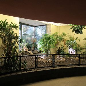 Old Bird House- Decoration