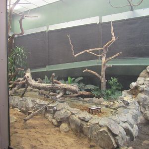 Old Bird House- Aviary 17