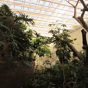 Old Bird House- Upper Level Viewing of Great Flight Room