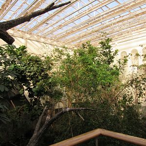 Old Bird House- Upper Level Viewing of Great Flight Room