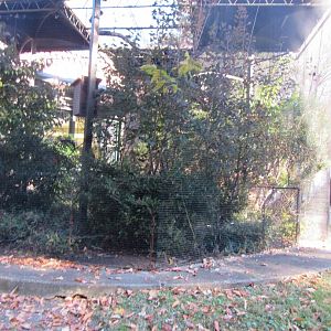 Bird Plateau- Empty Aviary