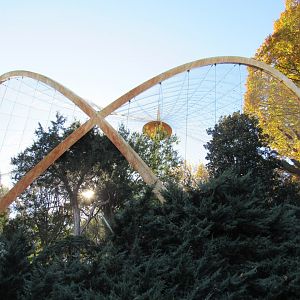 Bird Plateau- Great Flight Cage