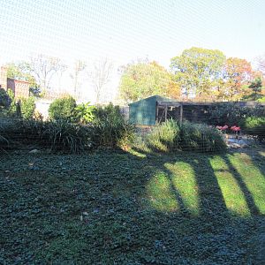 Bird Plateau- Flamingo and Duck Exhibit