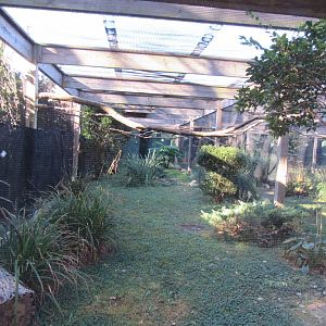Bird Plateau- Black-crowned Night Heron Exhibit