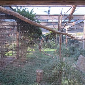 Bird Plateau- Red-legged Seriema Exhibit