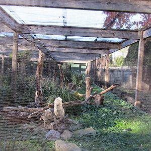 Bird Plateau- King Vulture Exhibit