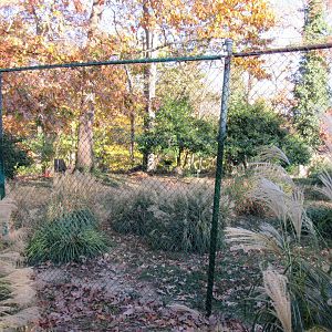 Bird Plateau- Kori Bustard Exhibit