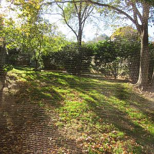 Bird Plateau- Crane Yard #2 (Empty)