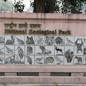 Delhi Zoo