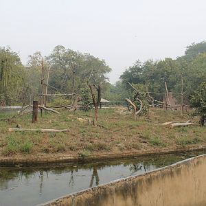 Lion-tailed Macaque enclosure