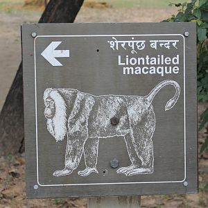 Lion-tailed Macaque signage