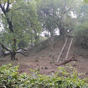Chimpanzee enclosure