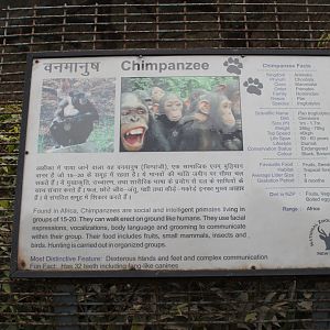 Chimpanzee signage
