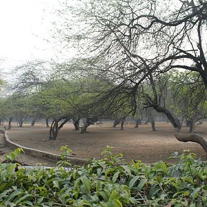 enclosure for Indian ungulates