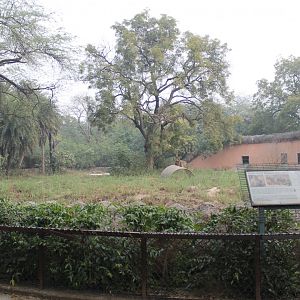 enclosure for Rhesus Macaques and Grey Langurs