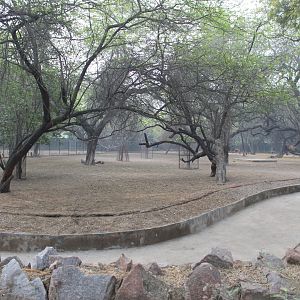 enclosure for Hog Deer