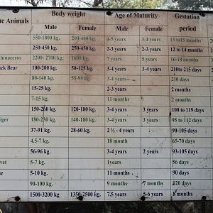 Delhi Zoo signage