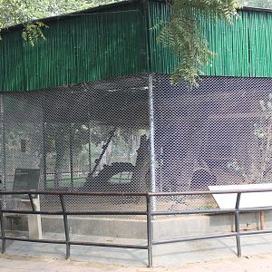 example of cages for small carnivores
