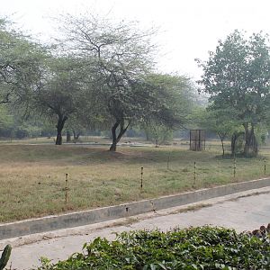 enclosure for Indian Rhinoceros