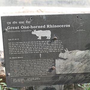 signage for Indian Rhinoceros