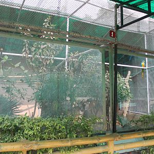 example of large parrot aviary