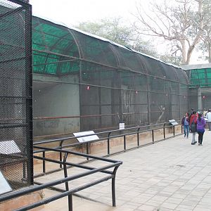 bird of prey aviaries