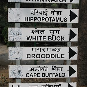 Delhi Zoo signage
