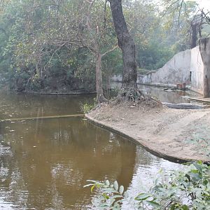 enclosure for Gharials