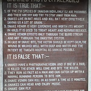 snake signage at the Reptile House