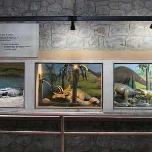 terrariums with reptile and dinosaur models