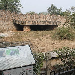 enclosure for Sloth Bears