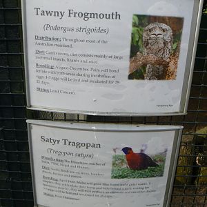 Signs for New Species - 4 March 2017