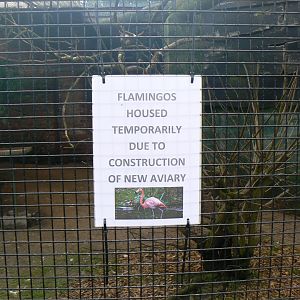 Notice - 4 March 2017