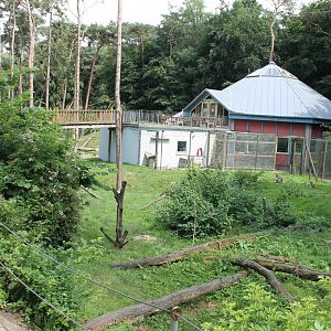 View Barbary Monkey - walk-through and Monkey-house