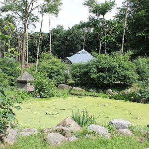 Pond in Barbary-monkey-walk-through