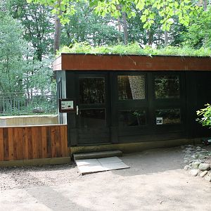 Porcupine In-and Outdoors