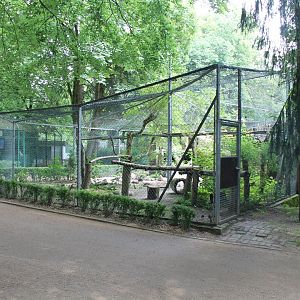 Aviaries