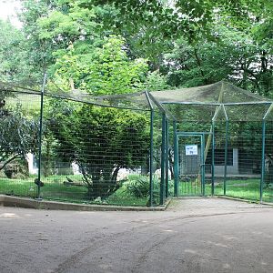 Aviary