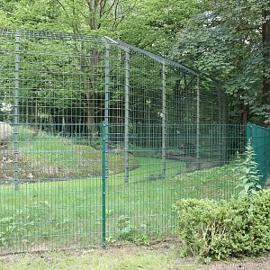 Brown bear enclosure