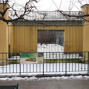 siberian tiger exhibit (thru old cat cage)