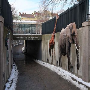 walkway to orangutan building