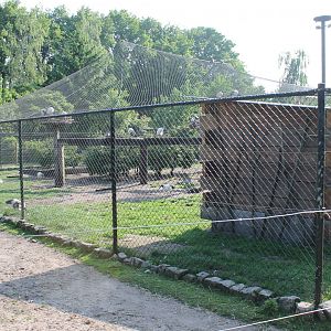Large aviary