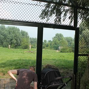 Brown bear enclosure