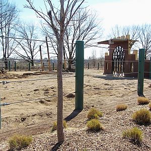 Elephant Encounter Expansion