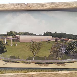Closer view of Elephant exhibit design